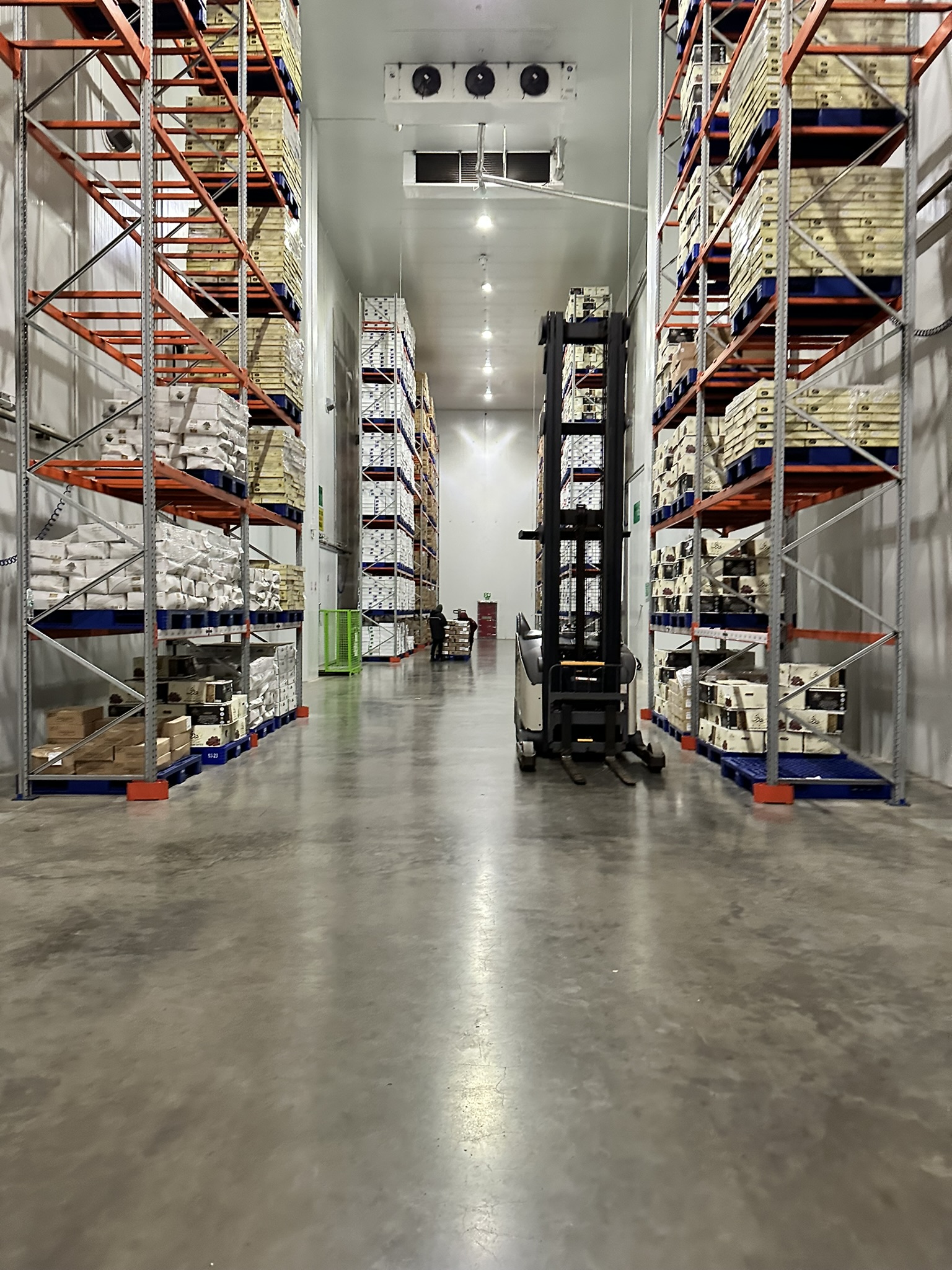 Cold-storage warehouse aisle with industrial floor and forklift